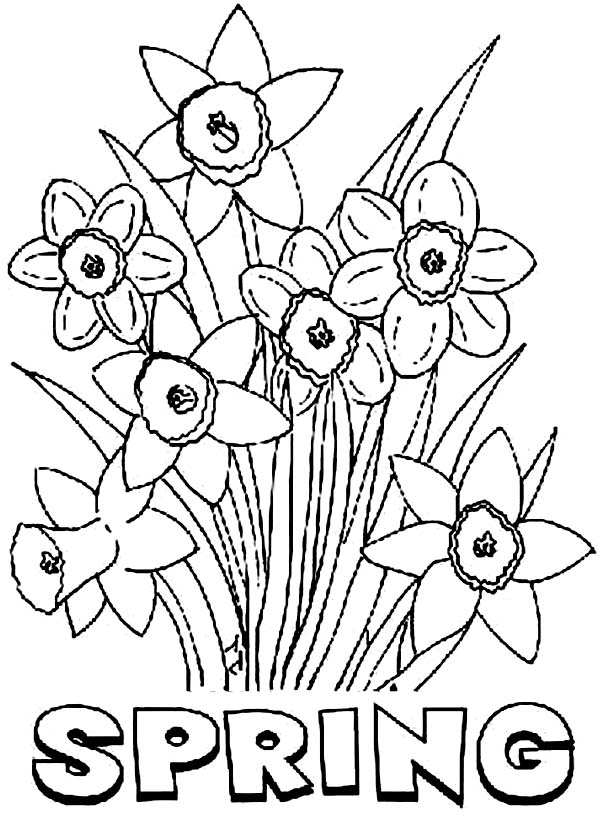 80 Printable Spring Nature Coloring Pages 13