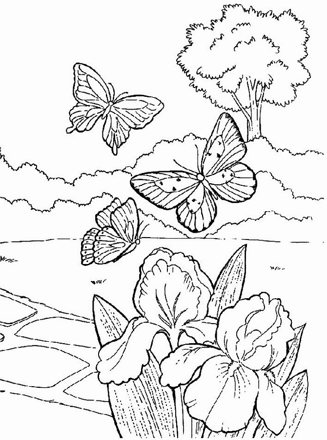 80 Printable Spring Nature Coloring Pages 20