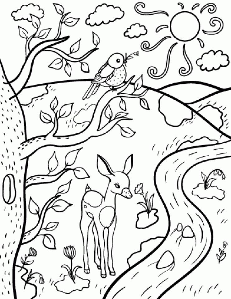 80 Printable Spring Nature Coloring Pages 44