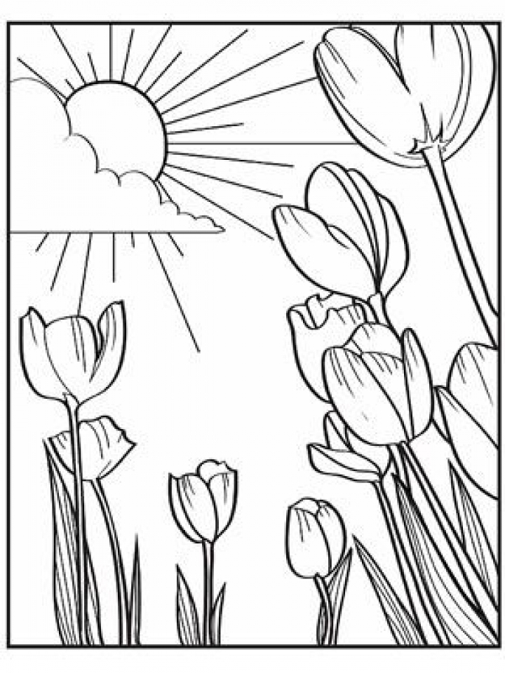 80 Printable Spring Nature Coloring Pages 77