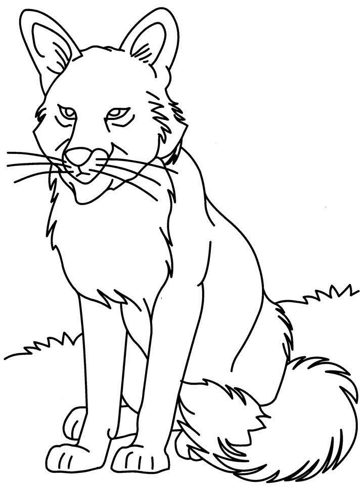 90 Printable Coloring Picture Of A Wolf 50