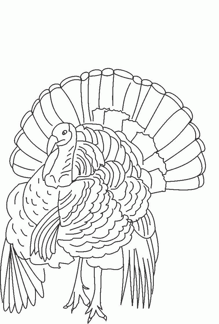 90 Printable Preschool Turkey Coloring Pages 4