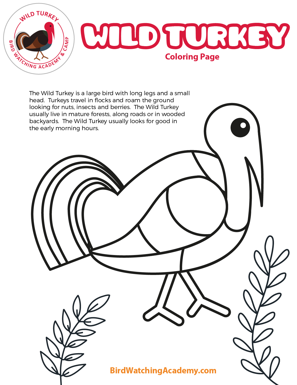 90 Printable Preschool Turkey Coloring Pages 40