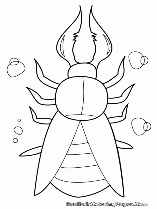 Get 85 Insect Coloring Pages Preschool Ideas 11