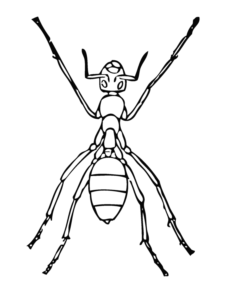 Get 85 Insect Coloring Pages Preschool Ideas 45