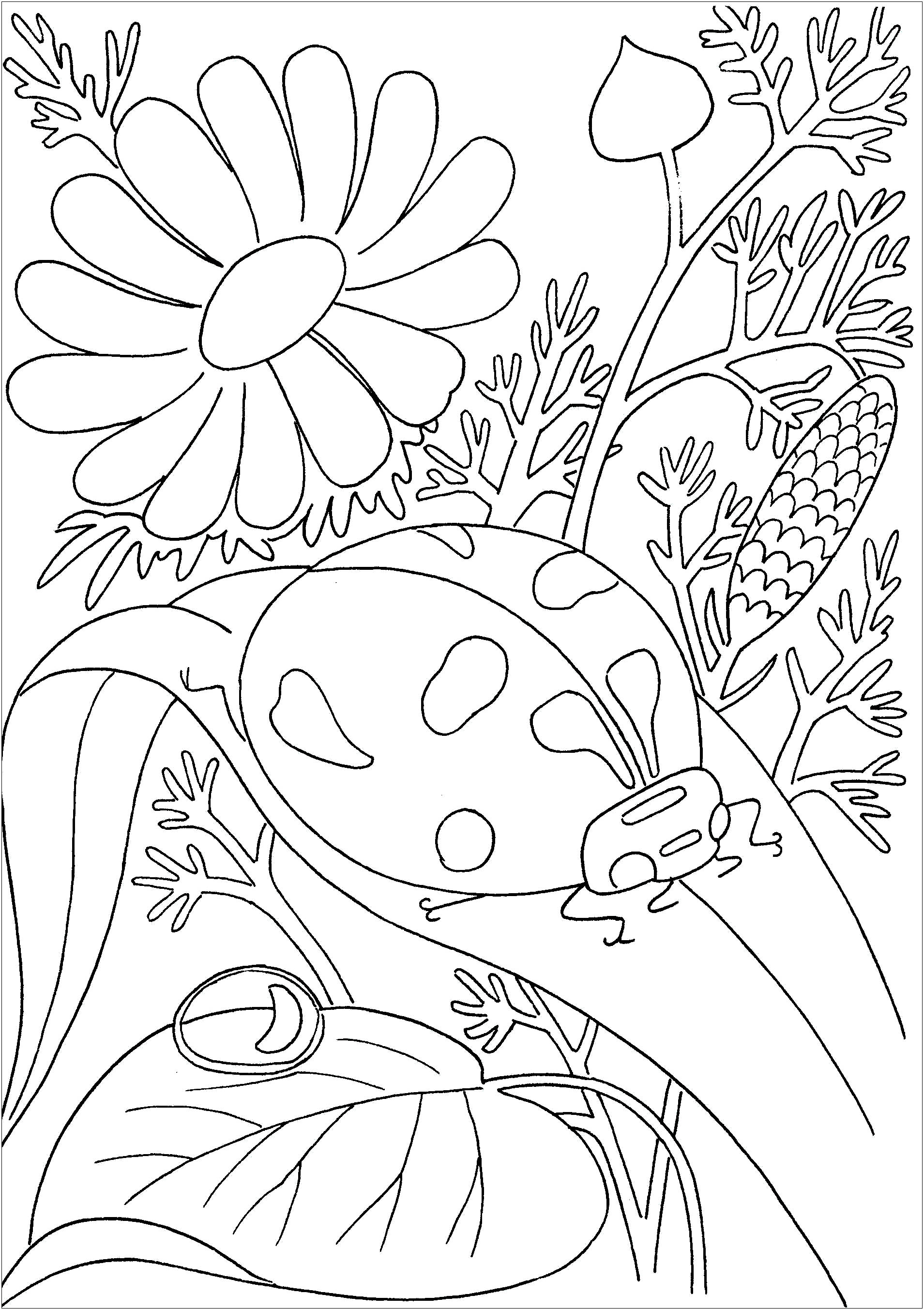 Get 85 Insect Coloring Pages Preschool Ideas 5