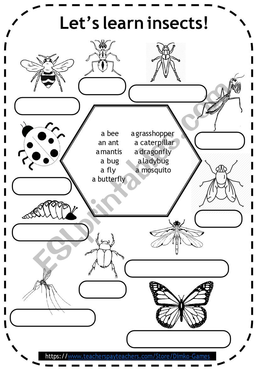 Get 85 Insect Coloring Pages Preschool Ideas 54