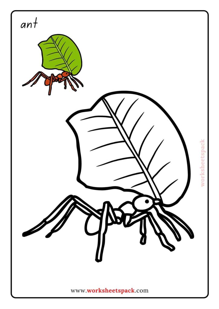 Get 85 Insect Coloring Pages Preschool Ideas 56