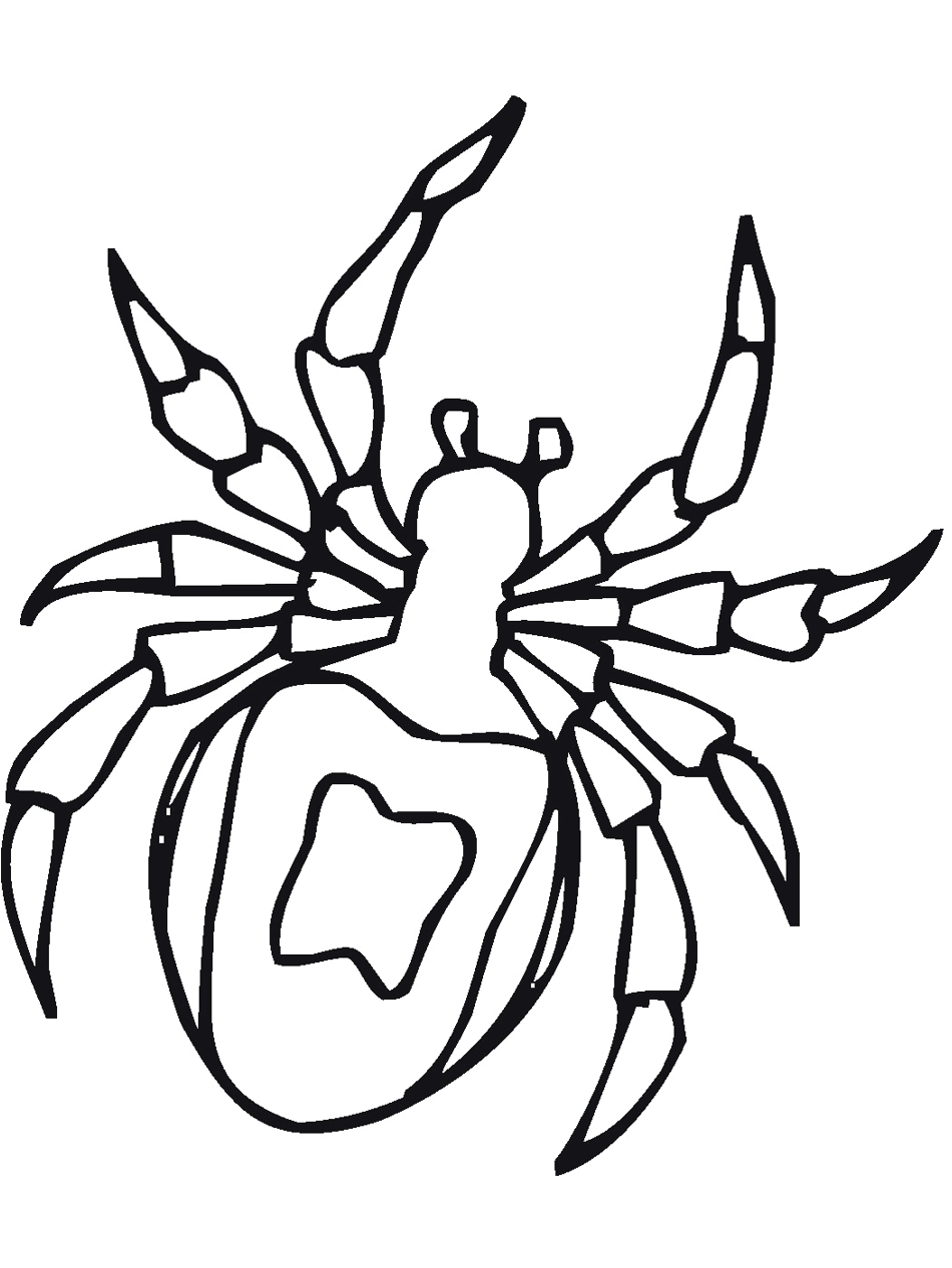 Get 85 Insect Coloring Pages Preschool Ideas 6