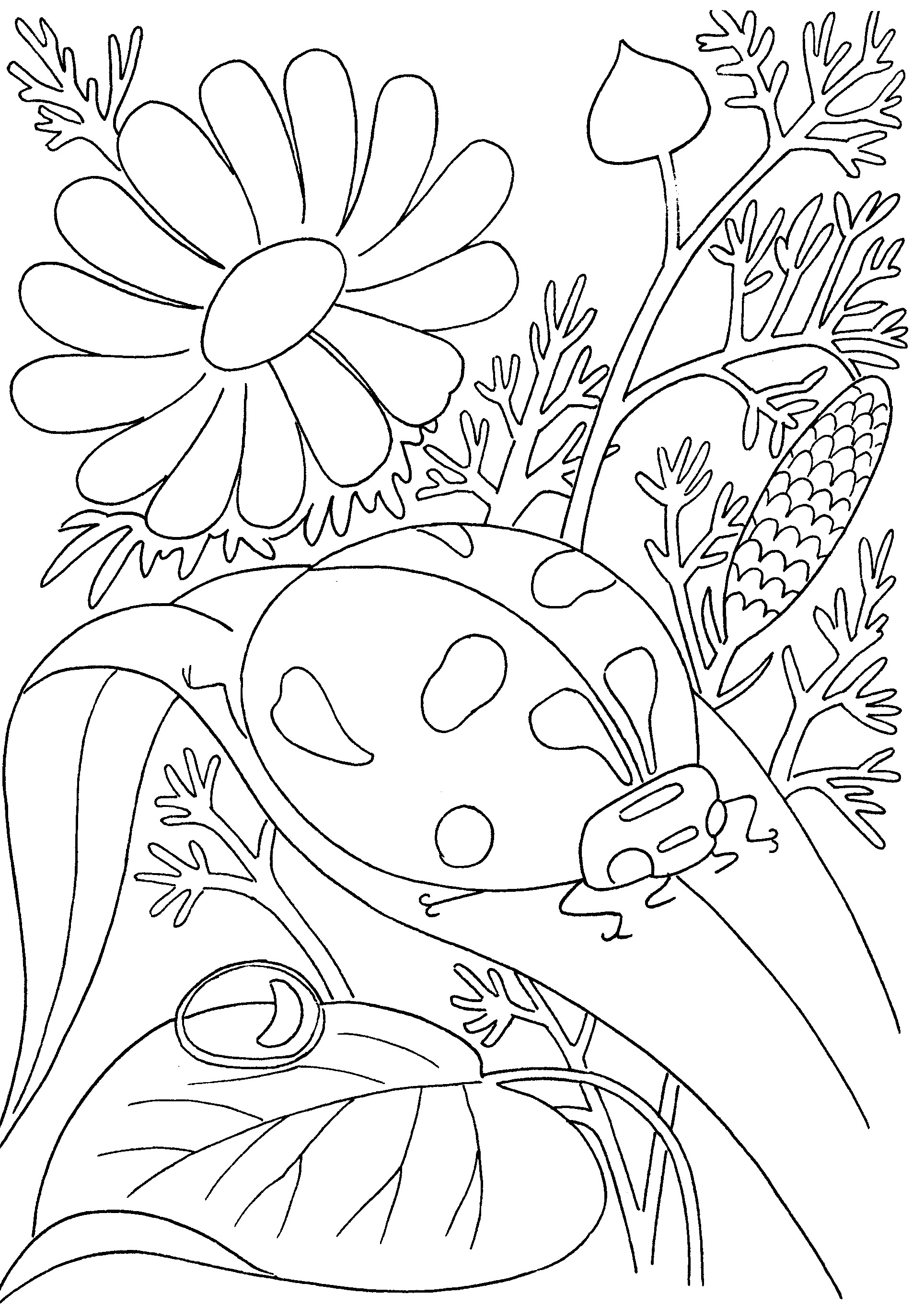 Get 85 Insect Coloring Pages Preschool Ideas 65