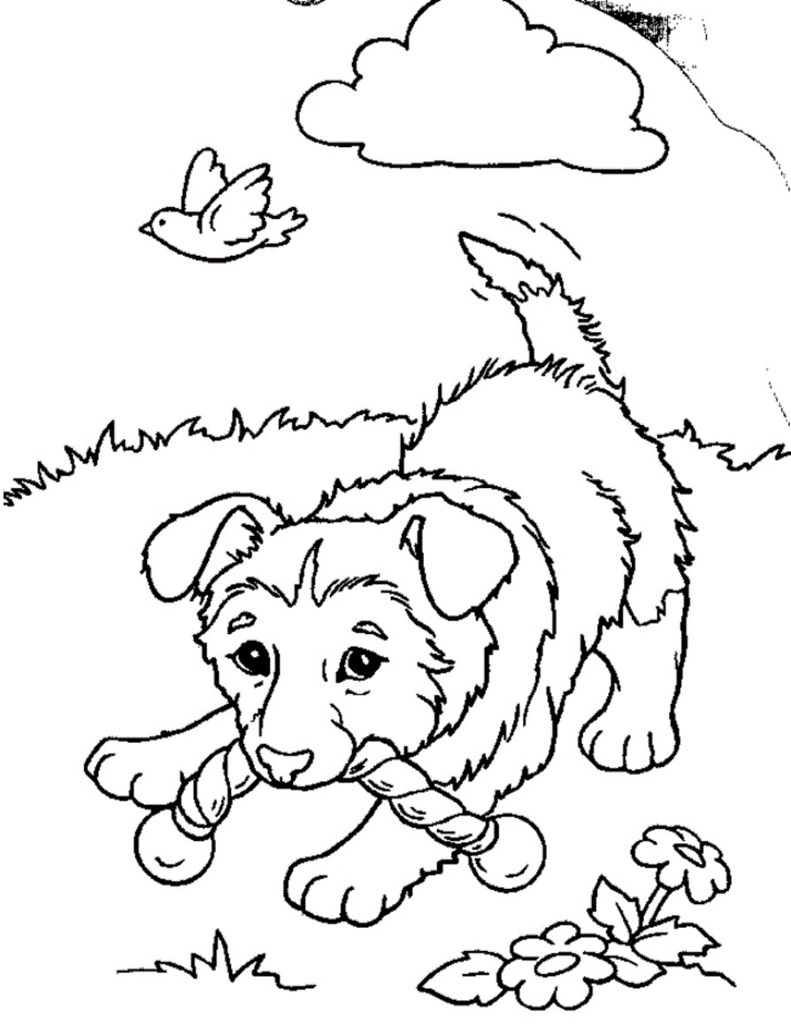 60 Printable Coloring Pages Puppies 20