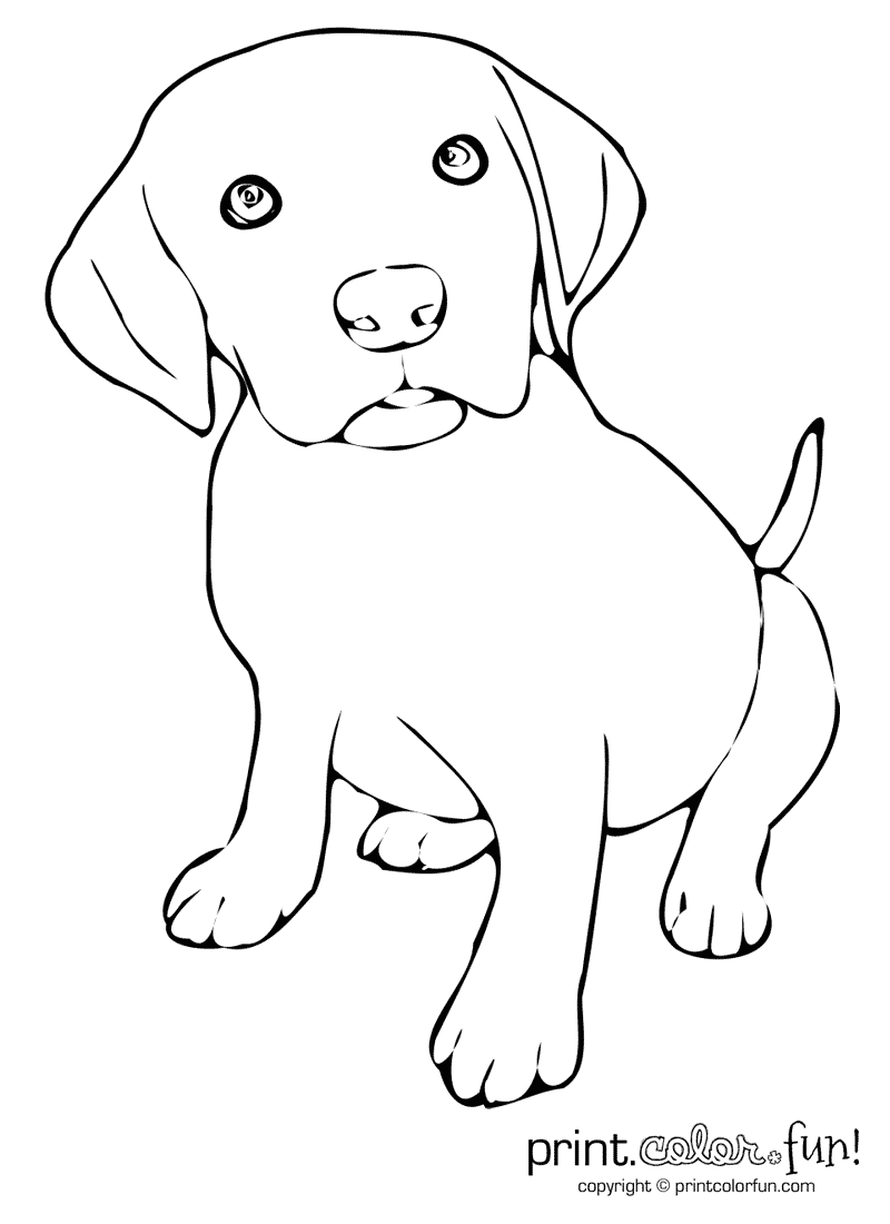 60 Printable Coloring Pages Puppies 22