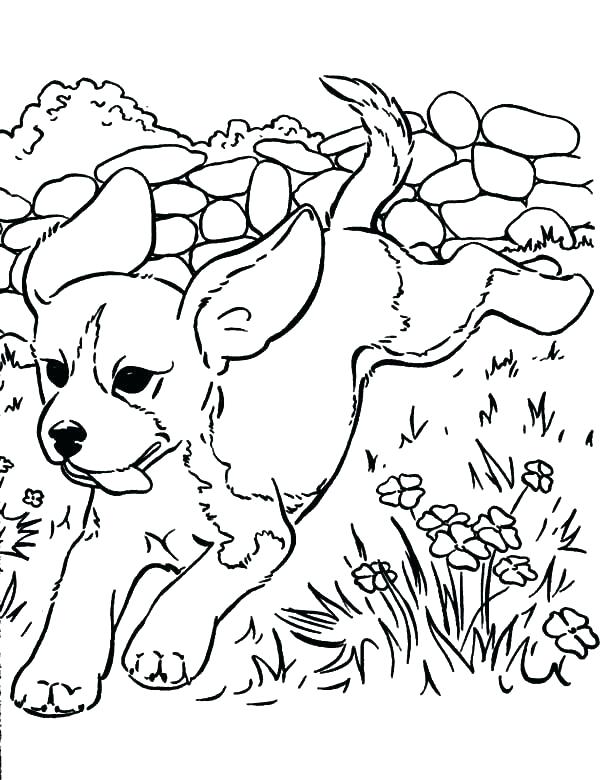 60 Printable Coloring Pages Puppies 23