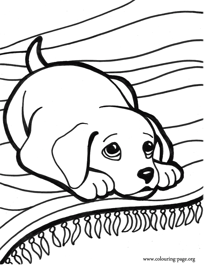 60 Printable Coloring Pages Puppies 39