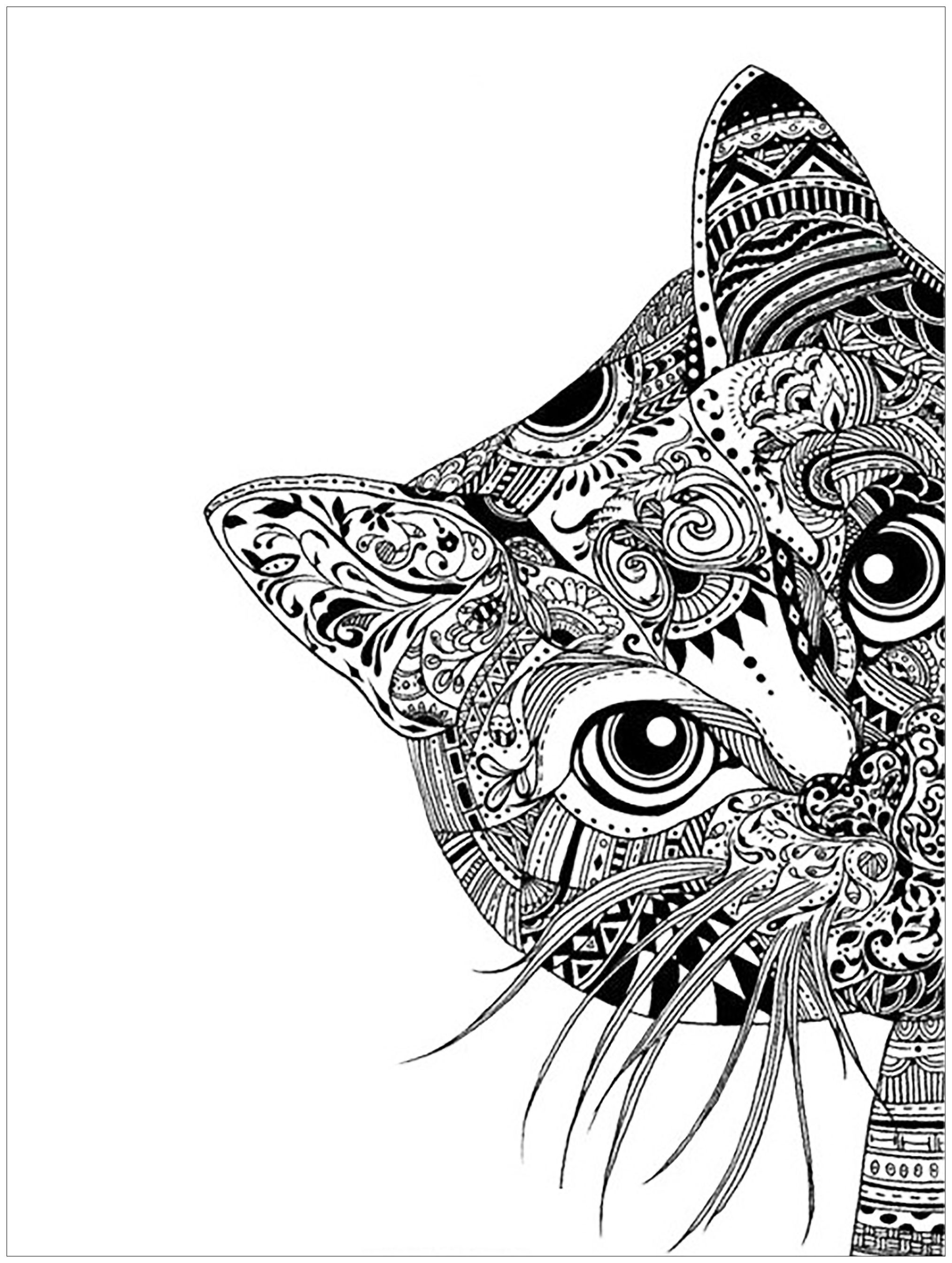 Get 85 Cat Pictures Coloring Pages Ideas 16