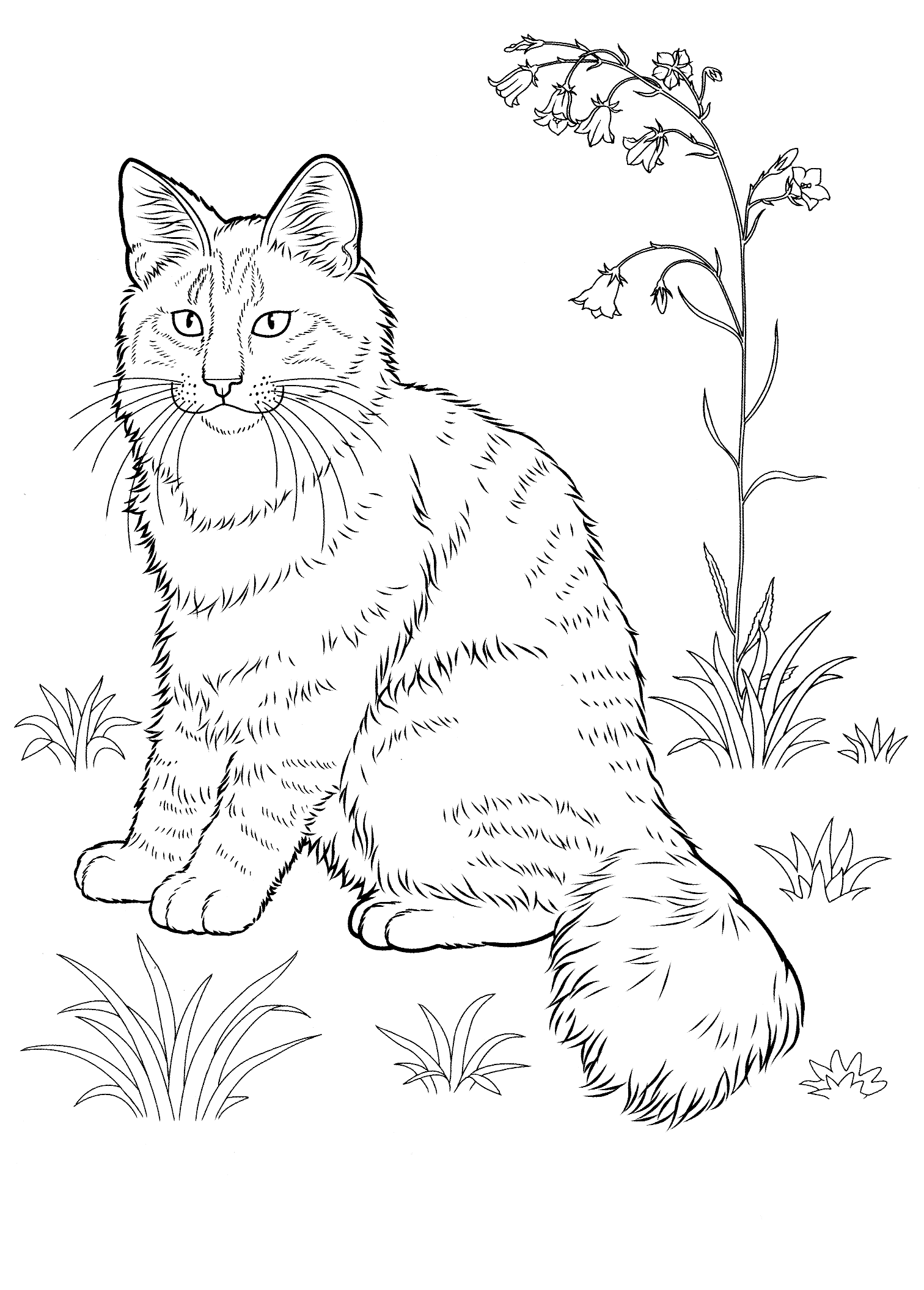 Get 85 Cat Pictures Coloring Pages Ideas 2