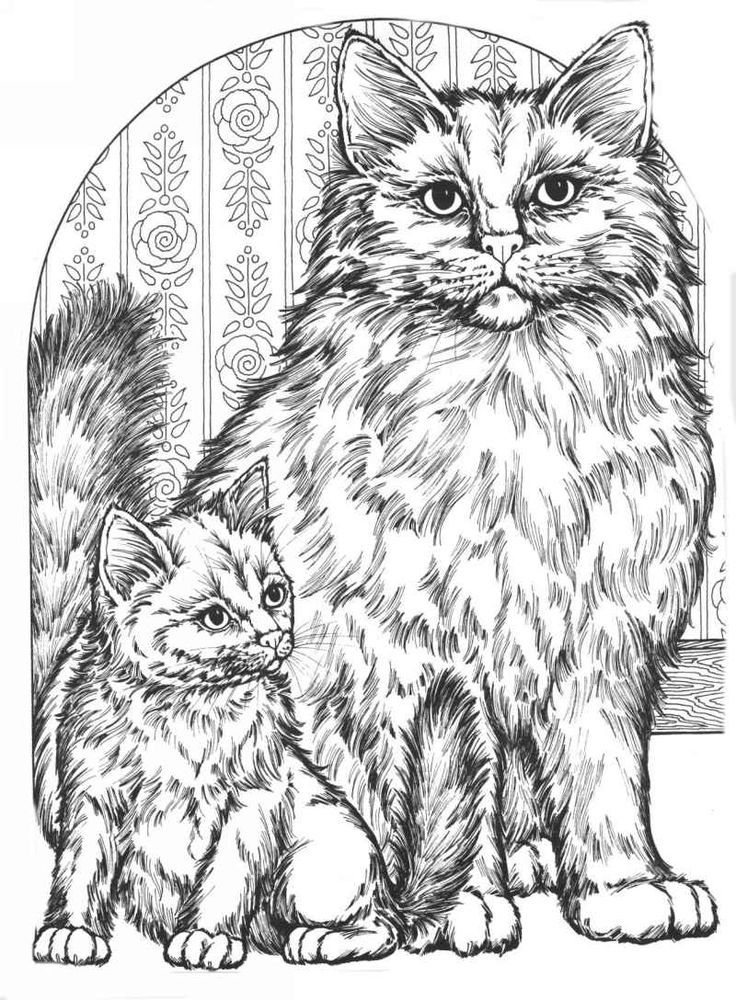 Get 85 Cat Pictures Coloring Pages Ideas 45