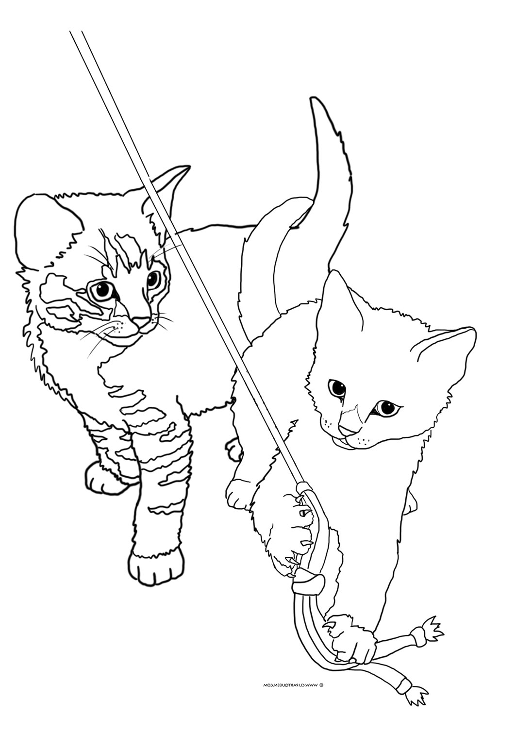 Get 85 Cat Pictures Coloring Pages Ideas 48