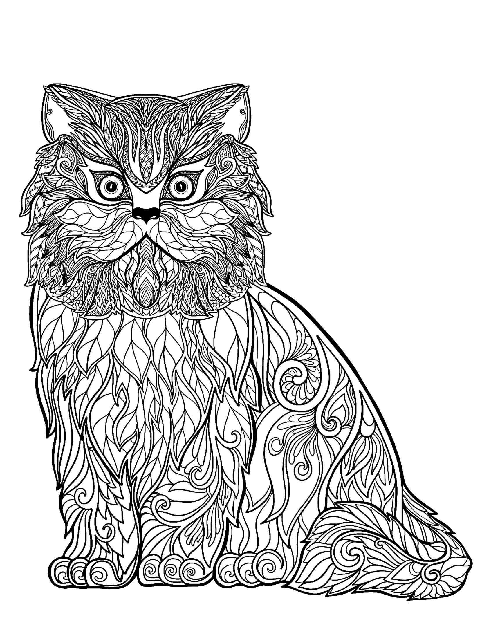 Get 85 Cat Pictures Coloring Pages Ideas 5