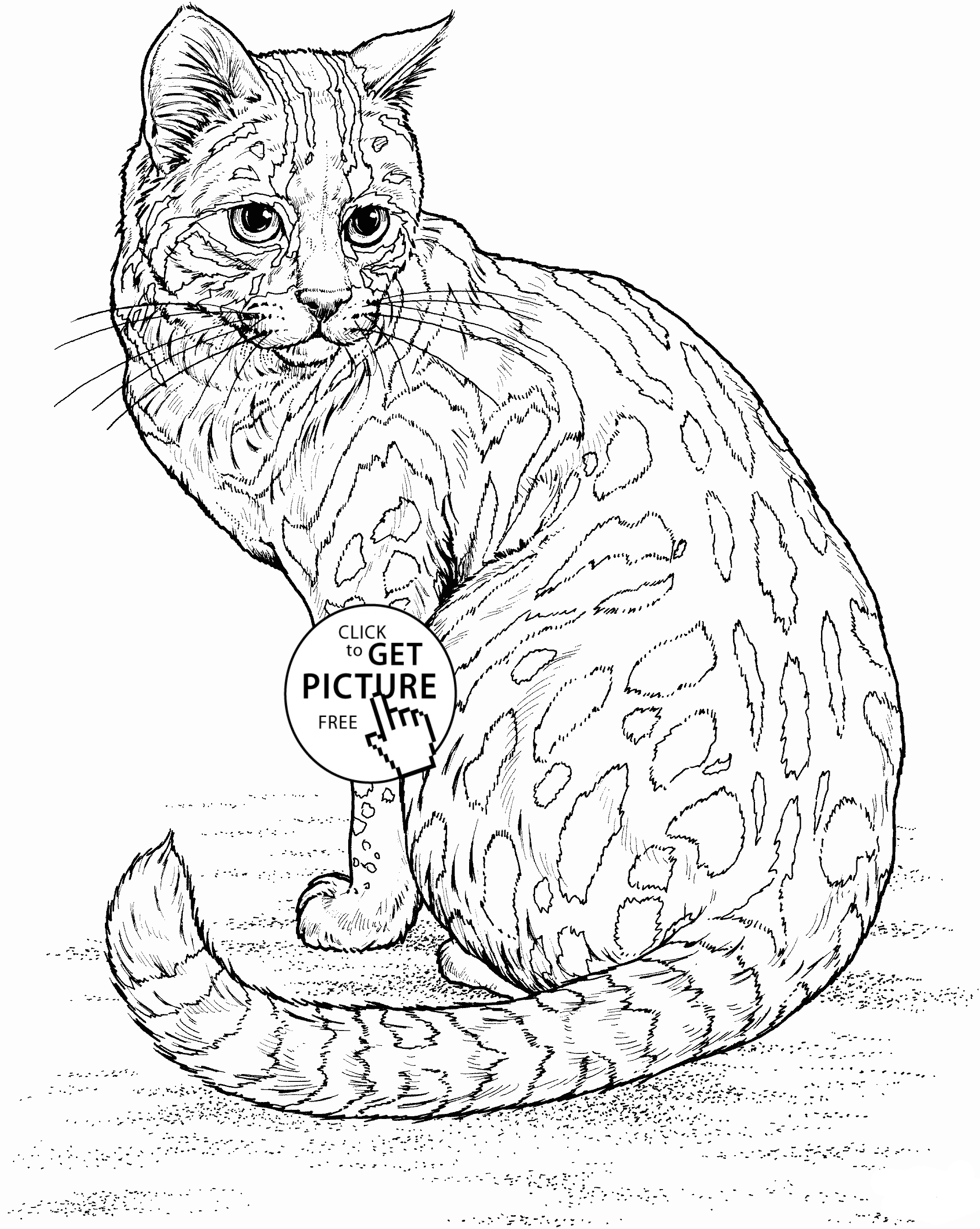 Get 85 Cat Pictures Coloring Pages Ideas 55