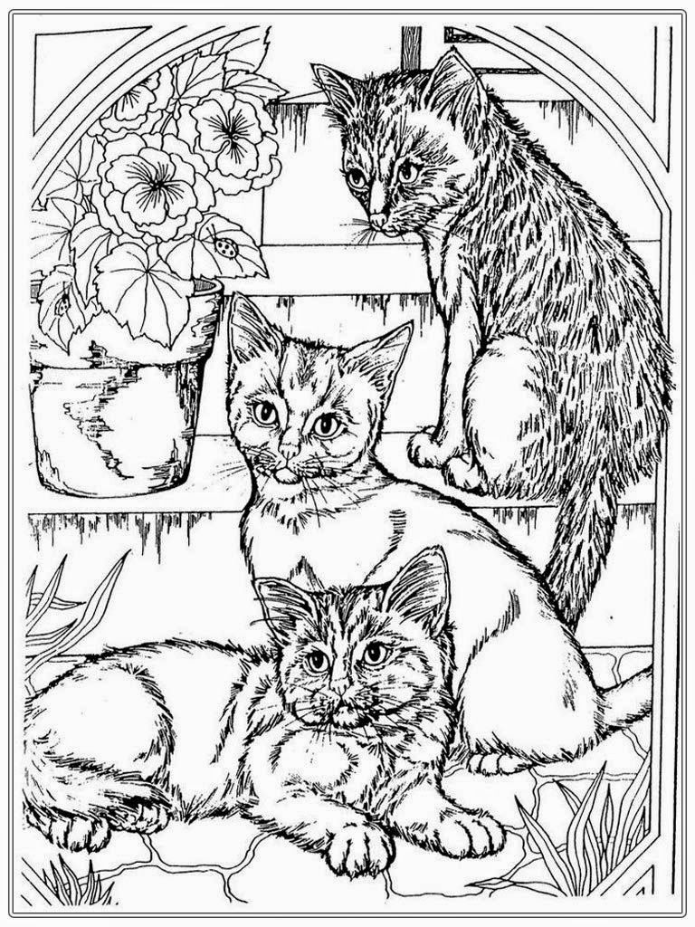 Get 85 Cat Pictures Coloring Pages Ideas 60