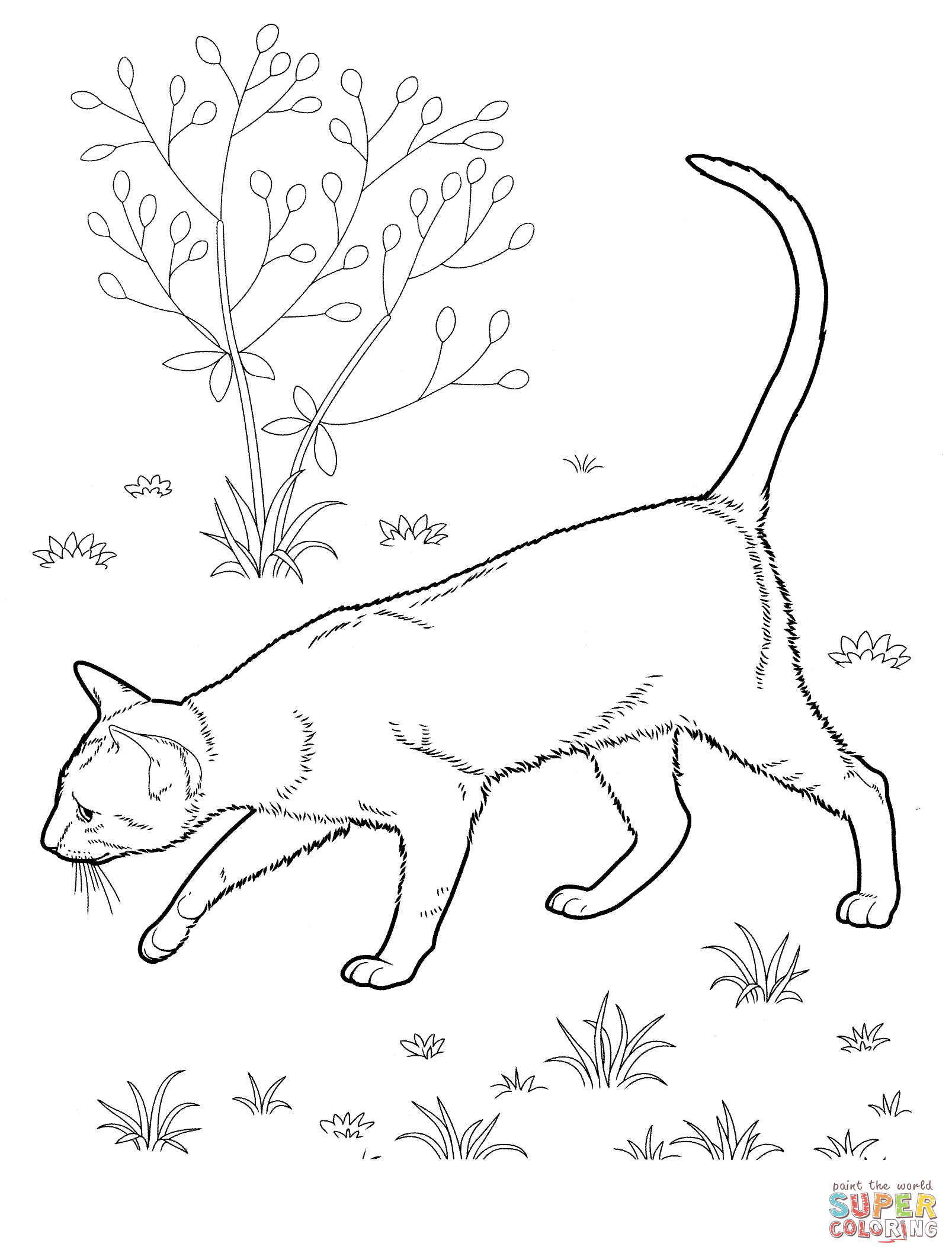 Get 85 Cat Pictures Coloring Pages Ideas 7