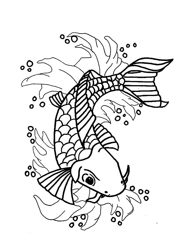 Get 85 Koi Fish Coloring Pages Ideas 18