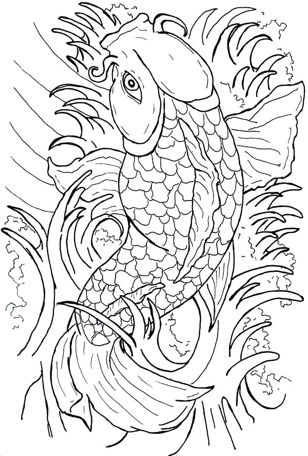 Get 85 Koi Fish Coloring Pages Ideas 64