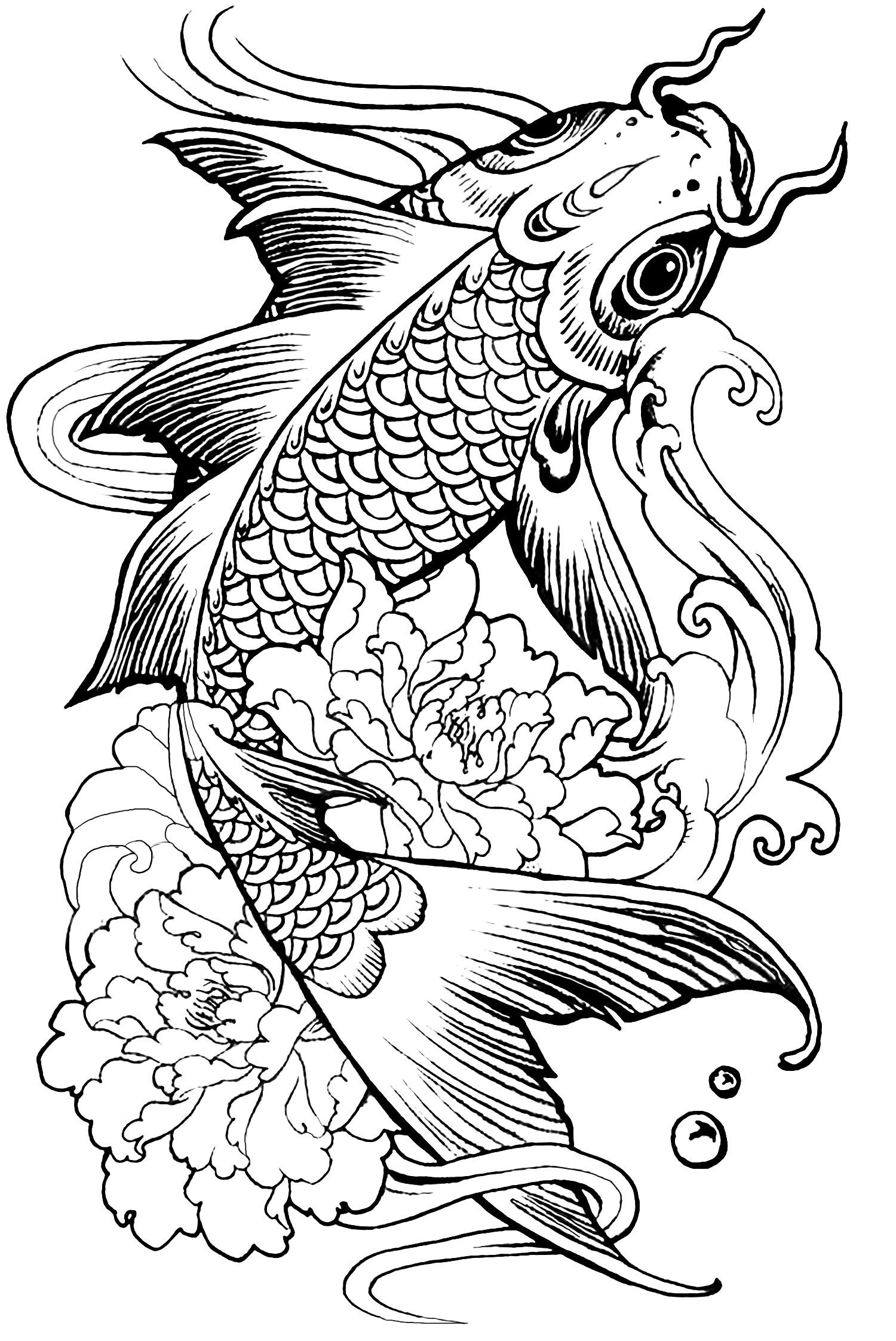 Get 85 Koi Fish Coloring Pages Ideas 65