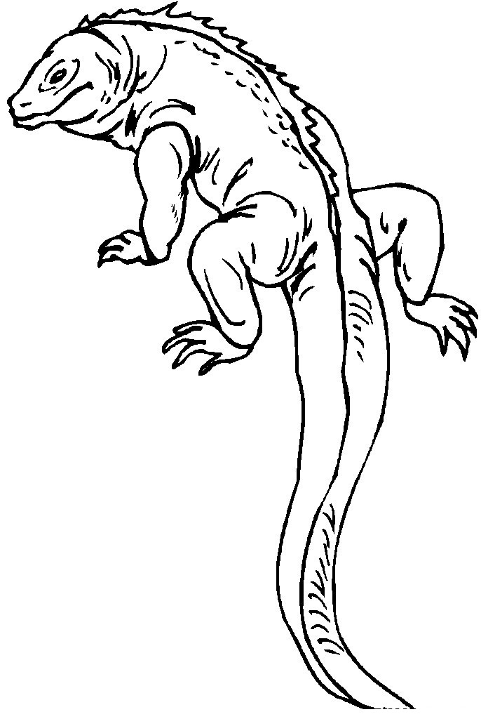 Get 85 Lizard Printable Coloring Pages Ideas 1