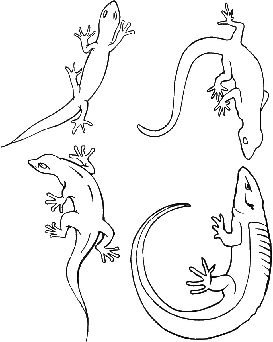 Get 85 Lizard Printable Coloring Pages Ideas 2