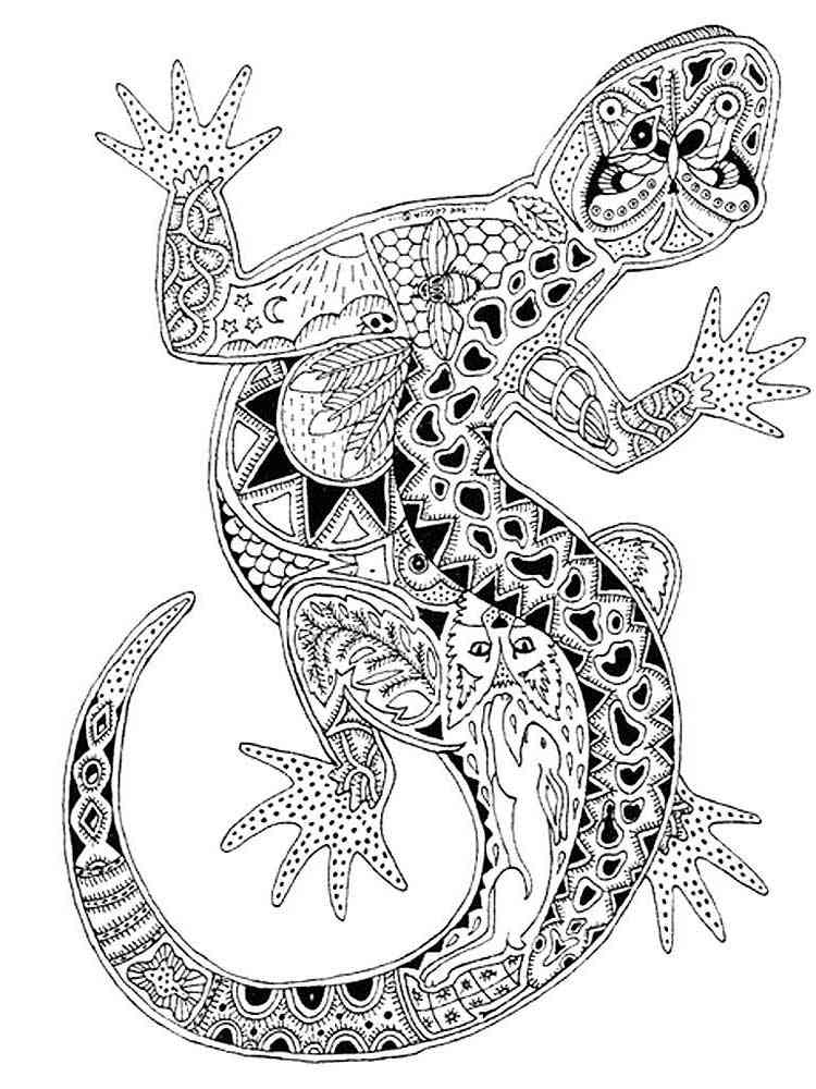 Get 85 Lizard Printable Coloring Pages Ideas 27