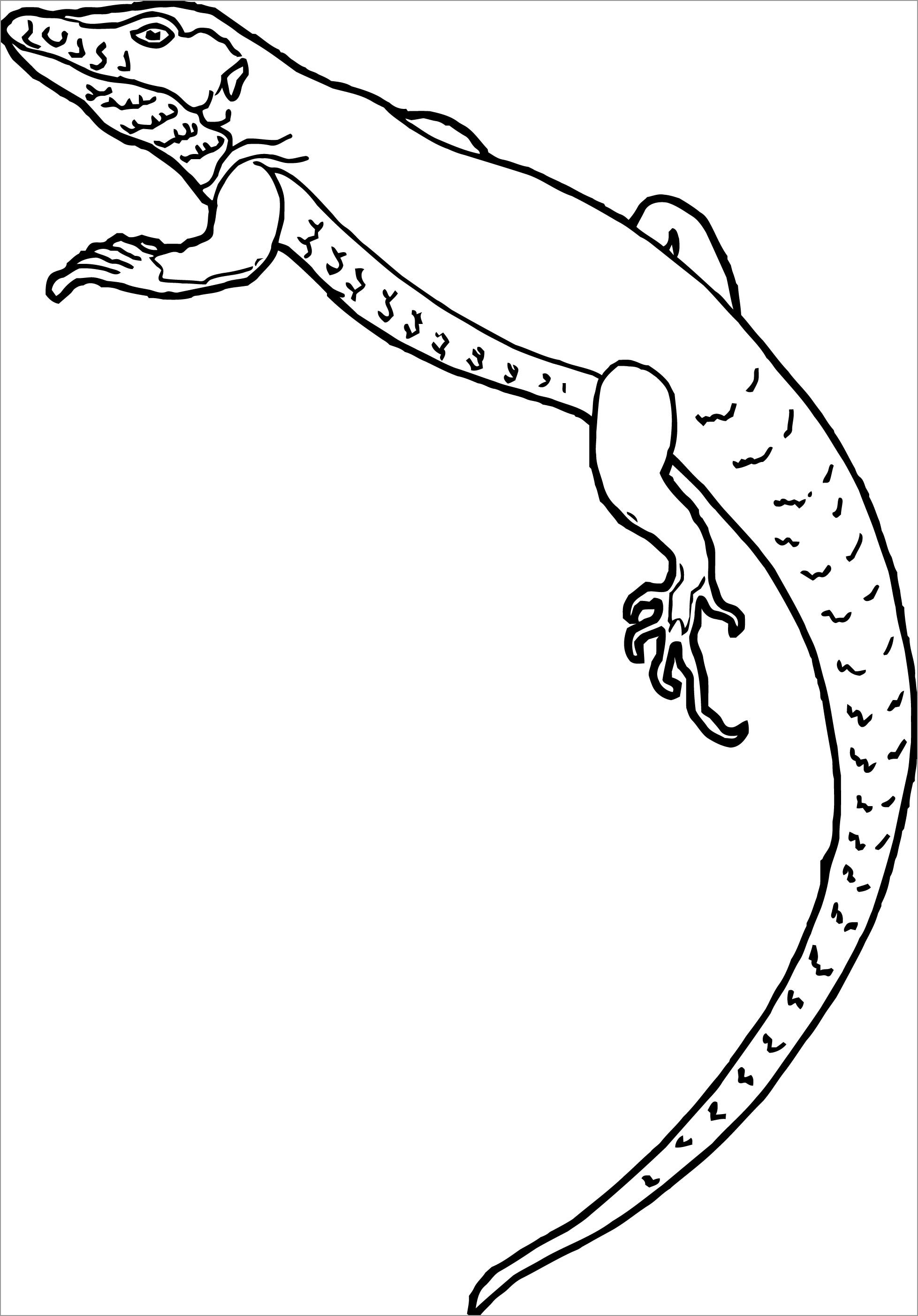 Get 85 Lizard Printable Coloring Pages Ideas 3