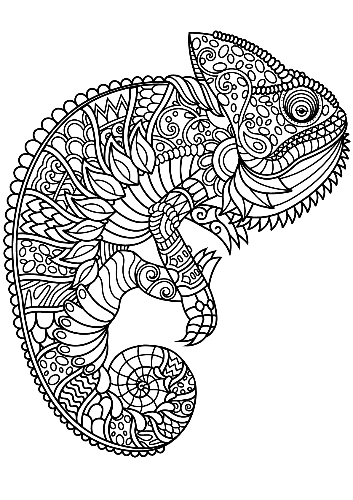 Get 85 Lizard Printable Coloring Pages Ideas 30