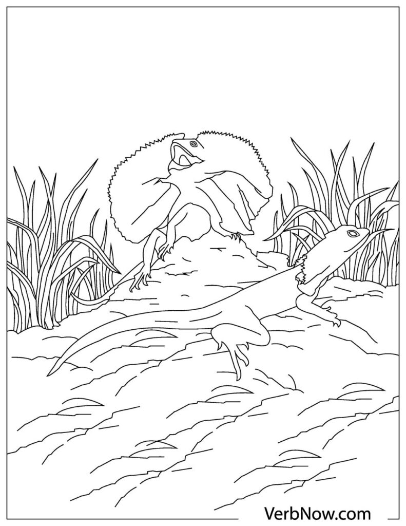 Get 85 Lizard Printable Coloring Pages Ideas 31