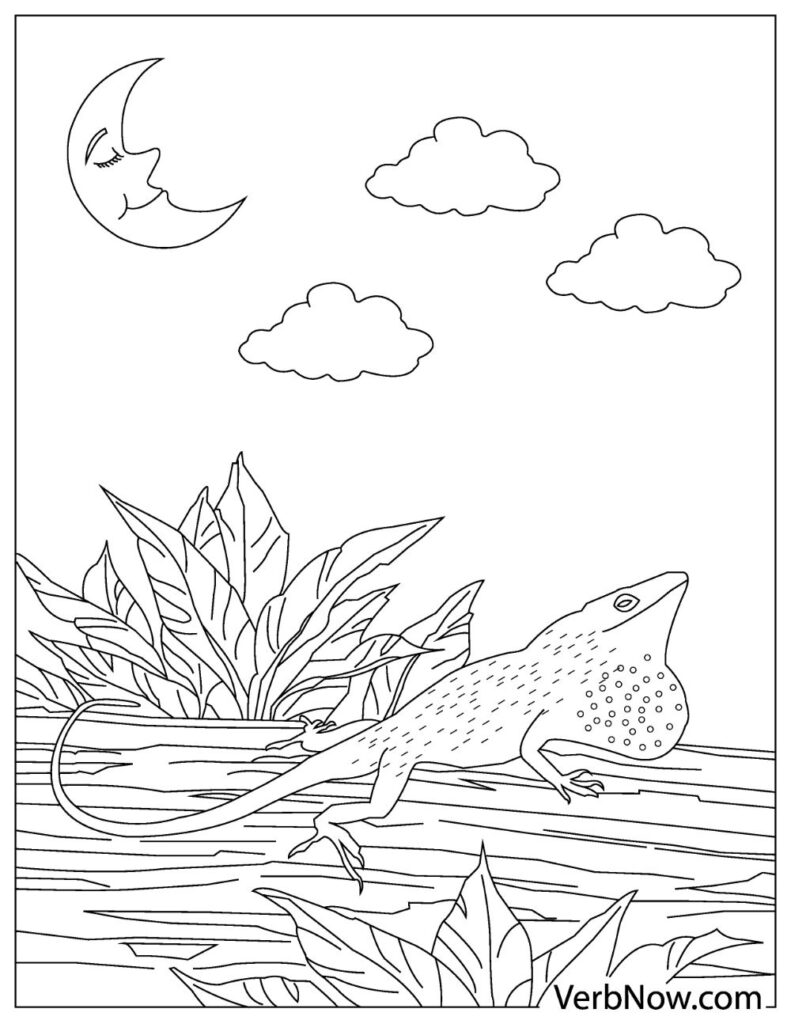 Get 85 Lizard Printable Coloring Pages Ideas 32