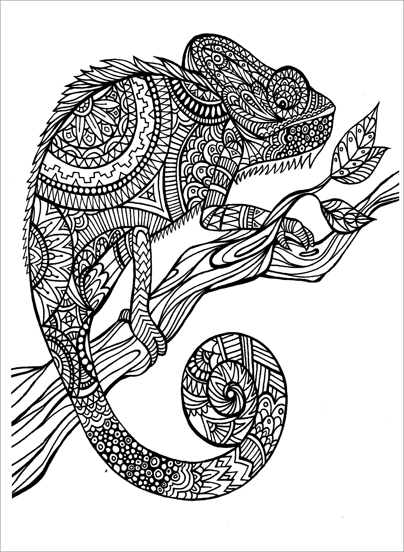 Get 85 Lizard Printable Coloring Pages Ideas 34