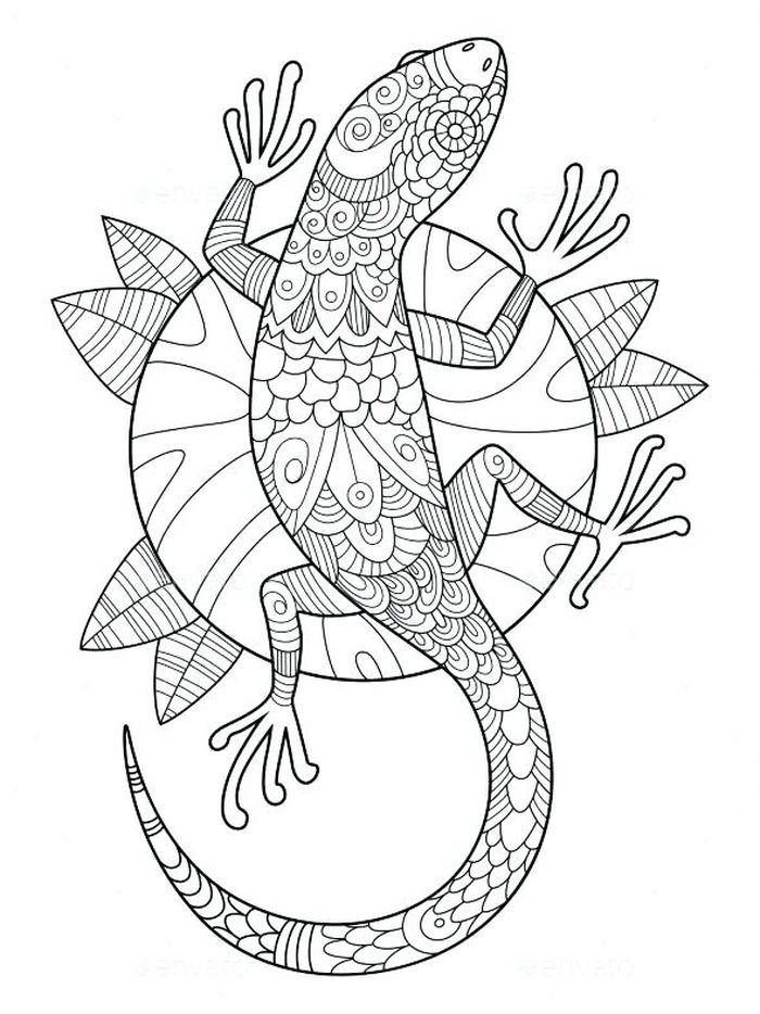 Get 85 Lizard Printable Coloring Pages Ideas 5