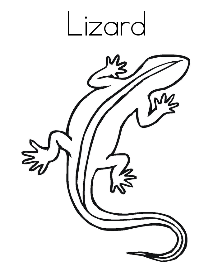 Get 85 Lizard Printable Coloring Pages Ideas 50