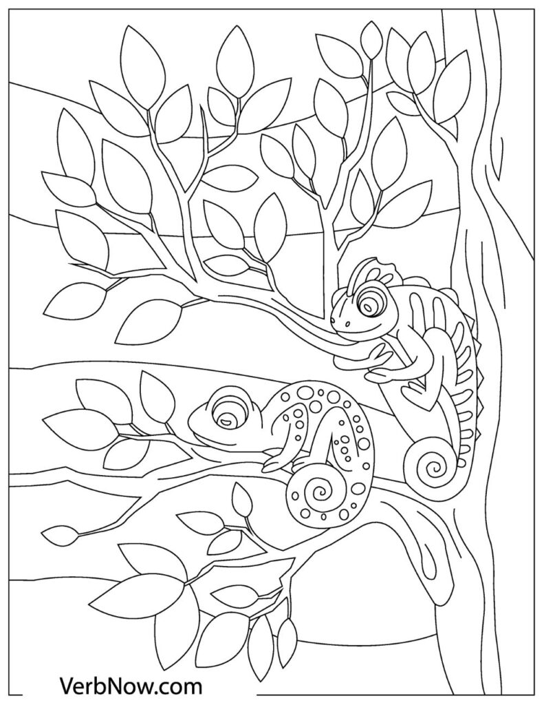 Get 85 Lizard Printable Coloring Pages Ideas 52