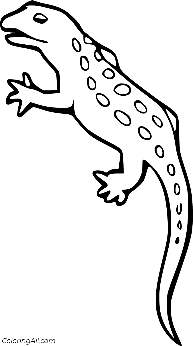 Get 85 Lizard Printable Coloring Pages Ideas 65