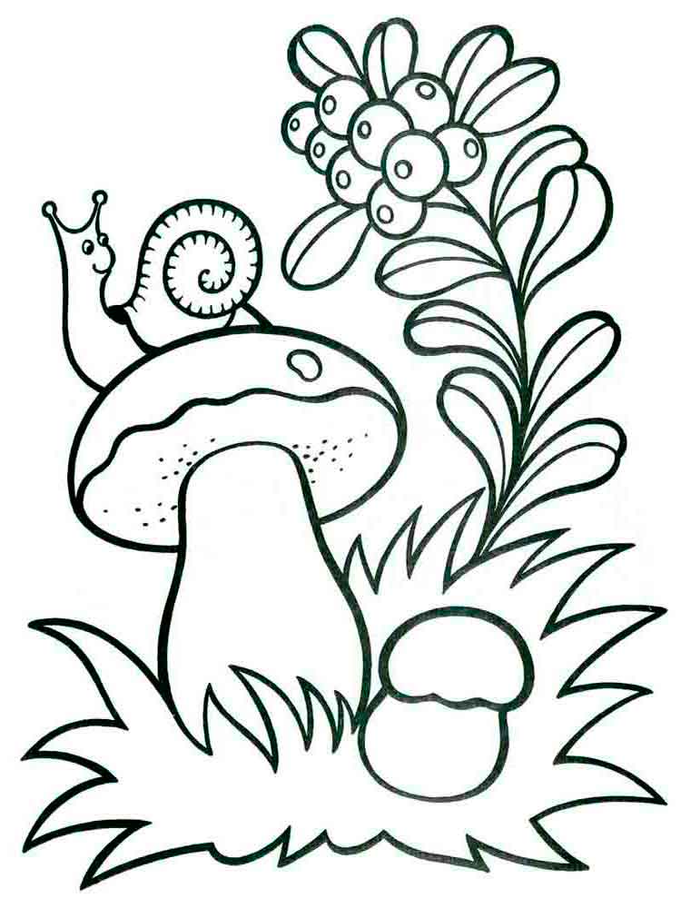 Save 60 Summer Coloring Pages Preschool Ideas 60